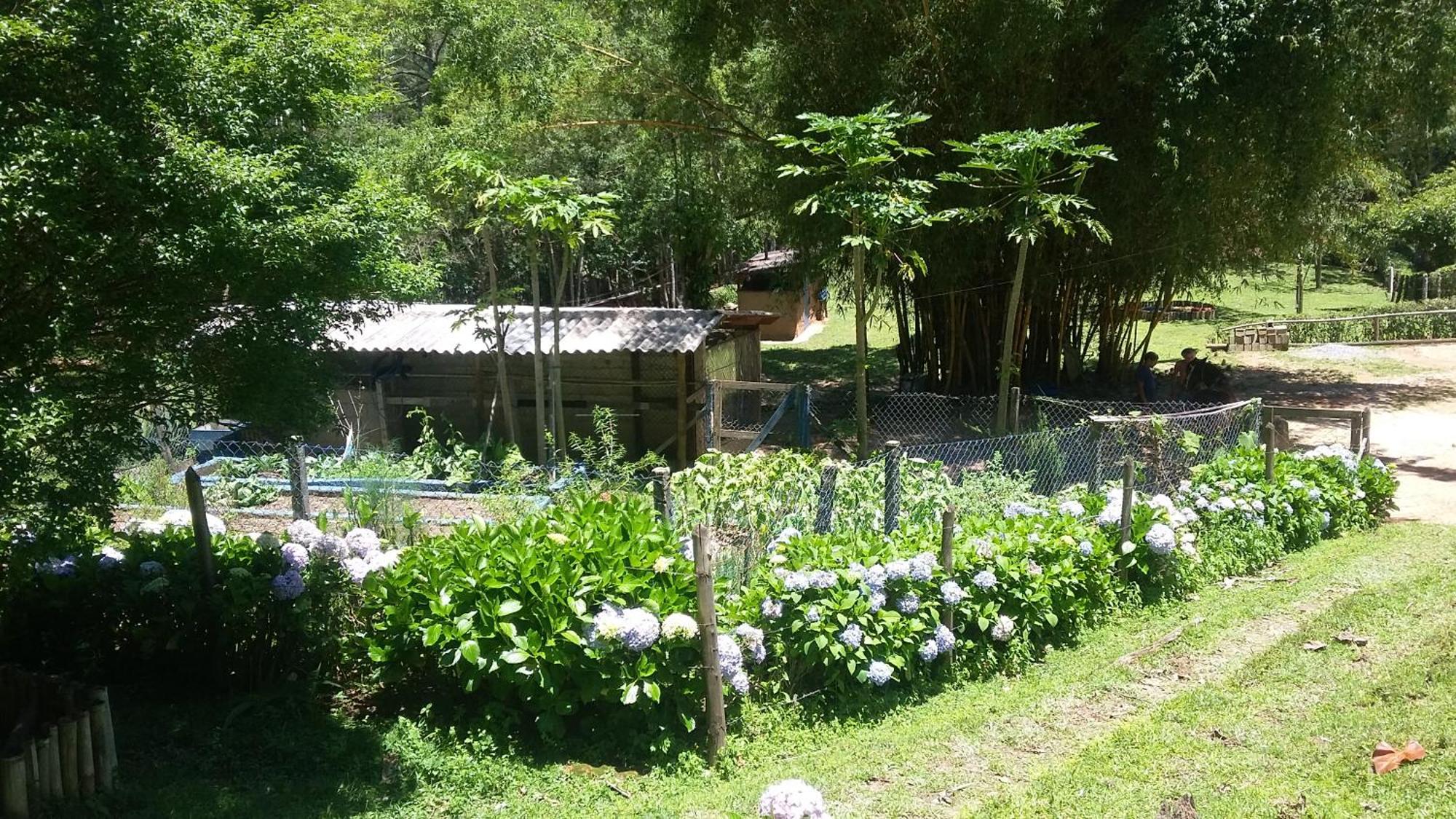 Kitnet Em Meio A Mata Atlantica 茹基蒂巴 外观 照片